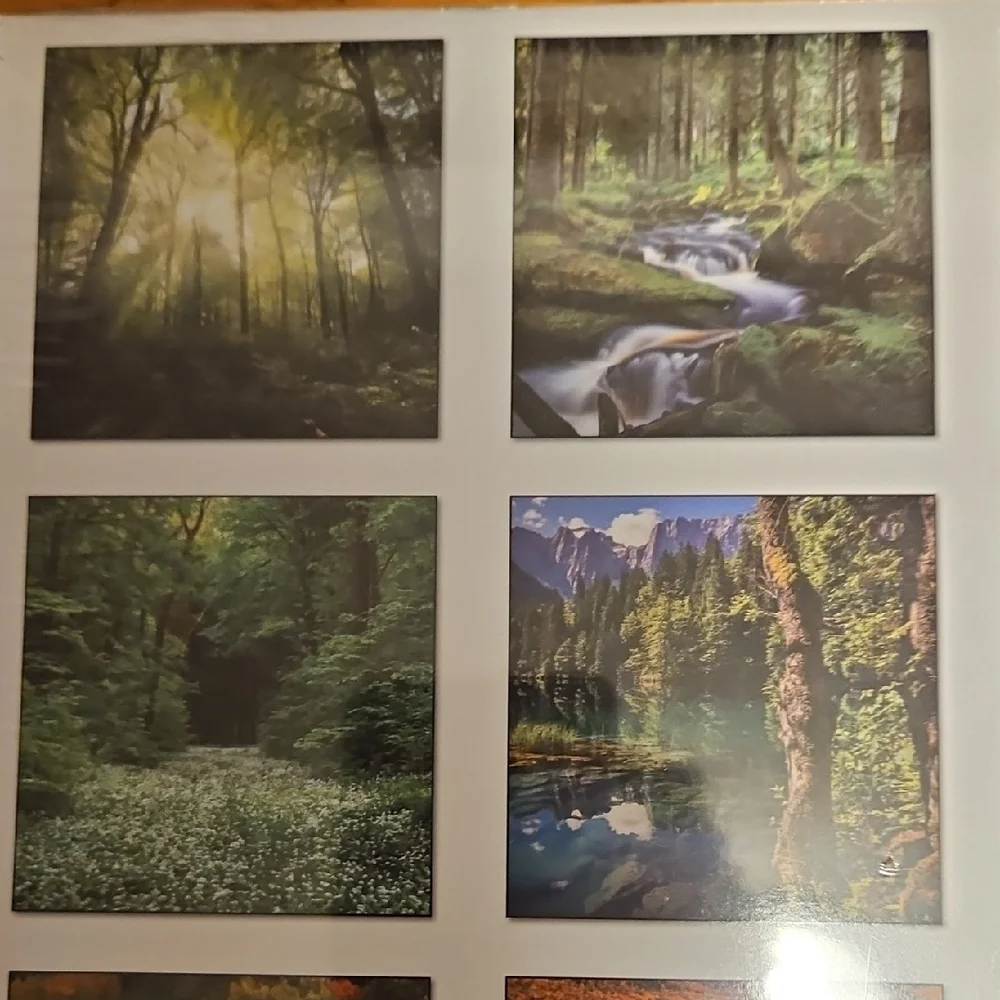 2026 Heaven Has a Forest 18-Month Wall Calendar